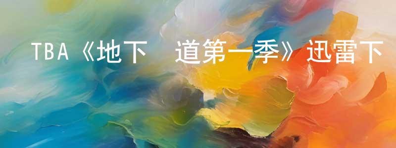 陳韻儀的動漫綜藝大全,TBA《地下鐵道第一季》迅雷下載/在線觀看/百度云-靈異/驚悚-美劇天堂